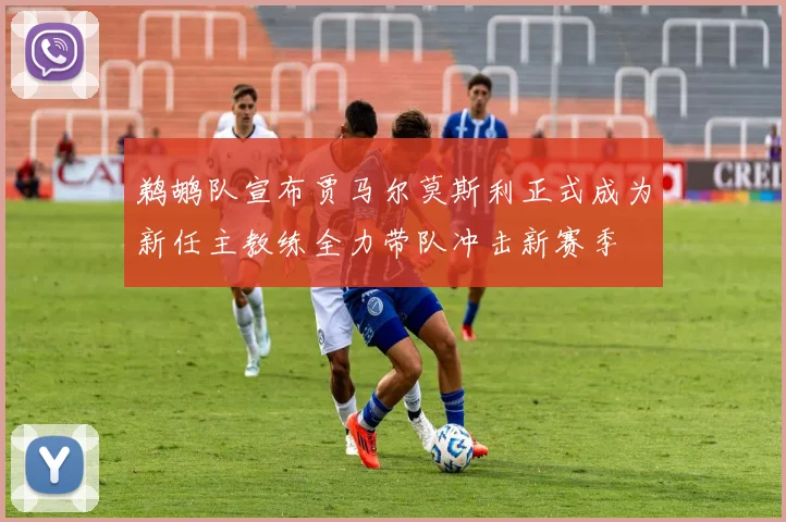 鹈鹕队宣布贾马尔莫斯利正式成为新任主教练全力带队冲击新赛季