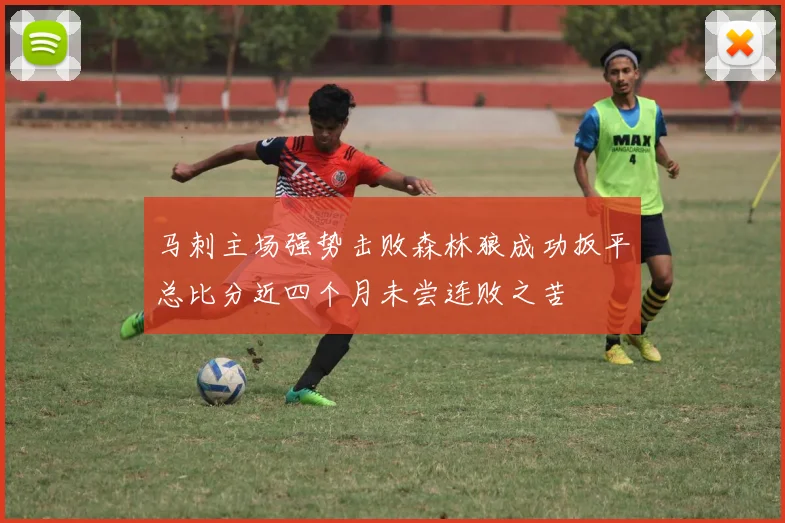 马刺主场强势击败森林狼成功扳平总比分近四个月未尝连败之苦