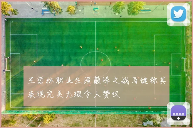 王哲林职业生涯巅峰之战马健称其表现完美无瑕令人赞叹