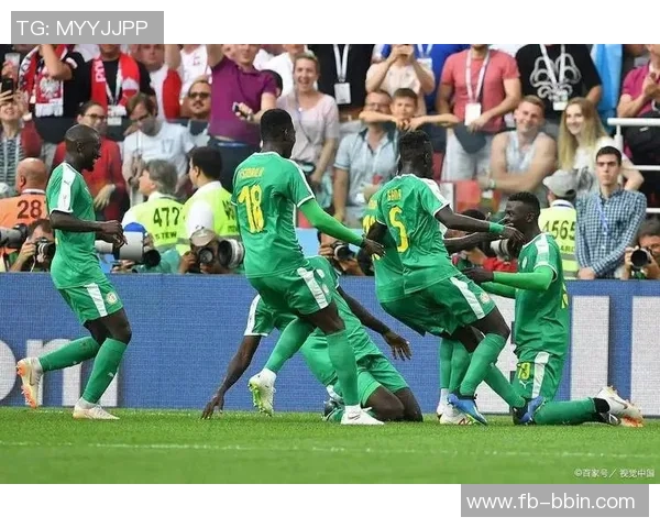 南非主帅批评非洲杯气氛冷淡新球场美观却组织混乱